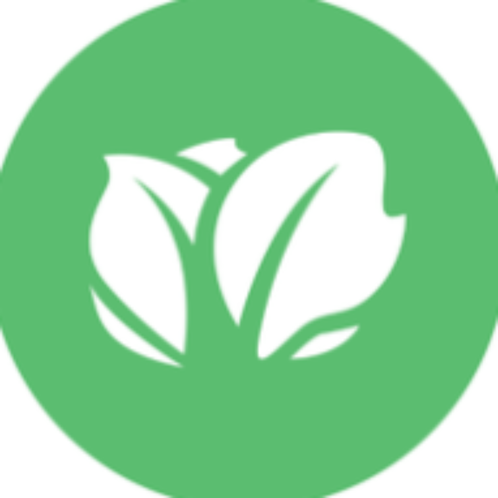 Kabbage-Review